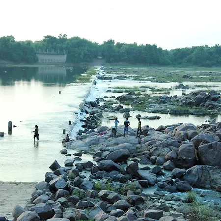 K Raj Tiger